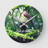 Large Jack In The Pulpit Flower Personalised