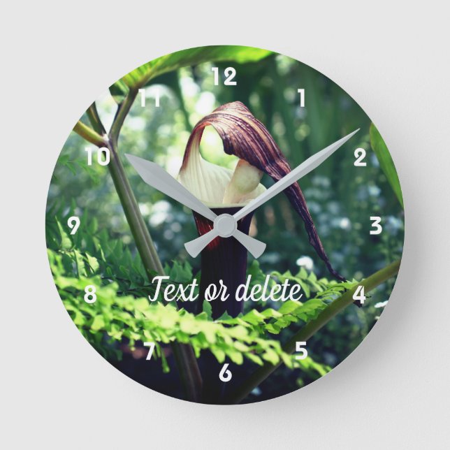 Large Jack In The Pulpit Flower Personalised Round Clock (Front)