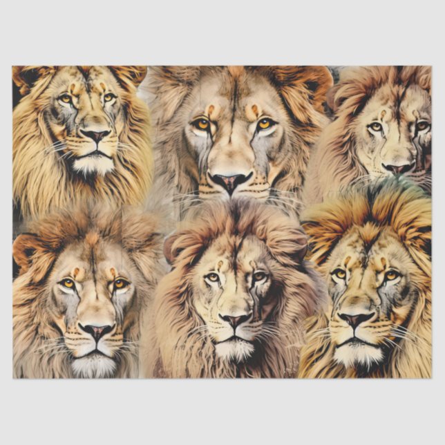 Large King of the Jungle Faces Decoupage  Tissue Paper (Front)