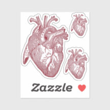 Large Labelled Vintage Anatomical Heart, Red