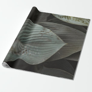 Large Leaf   Wrapping Paper