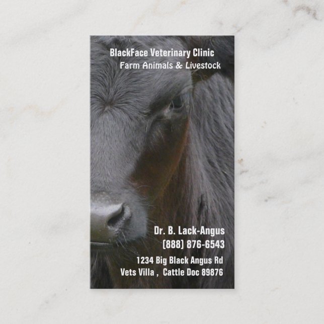 Large Livestock Veterinarian - Black Angus Cow Business Card (Front)