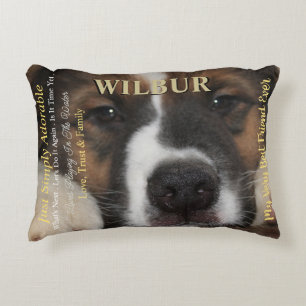 Large Magazine Styled Pet Decorative Cushion
