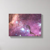 Large Magellanic Cloud