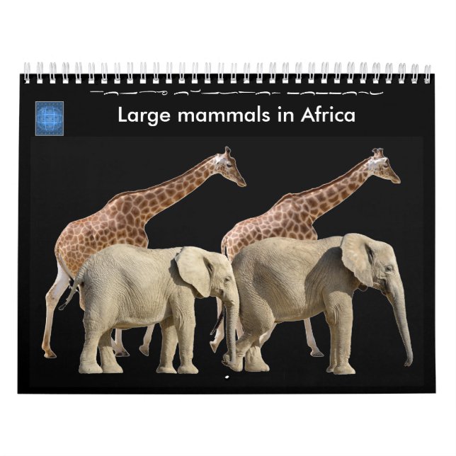 Large mammals in Africa 12 month Calendar (Cover)