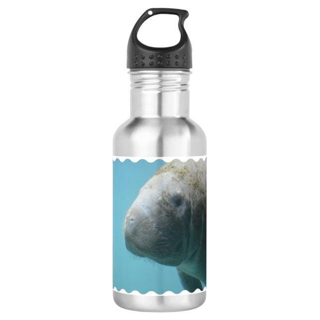 Large Manatee Underwater 532 Ml Water Bottle (Front)