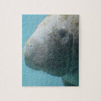 Large Manatee Underwater