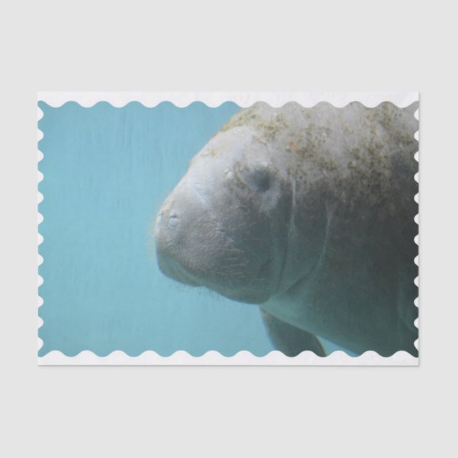 Large Manatee Underwater Tissue Paper (Front)