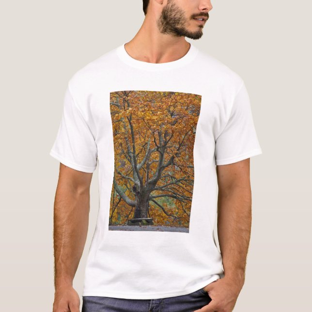 Large maple tree in autumn, Bass Lake, near T-Shirt (Front)