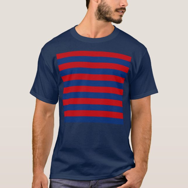 Large Modern Vibrant Horizontal Stripes Decor T-Shirt (Front)