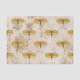 Large Moth and Flowers Tissue Paper