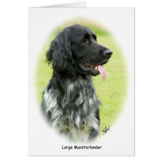 Large Munsterlander 9W020D-065 oval Card