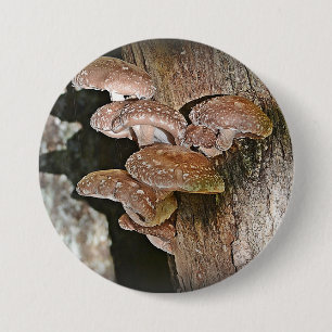 Large Mushroom Button