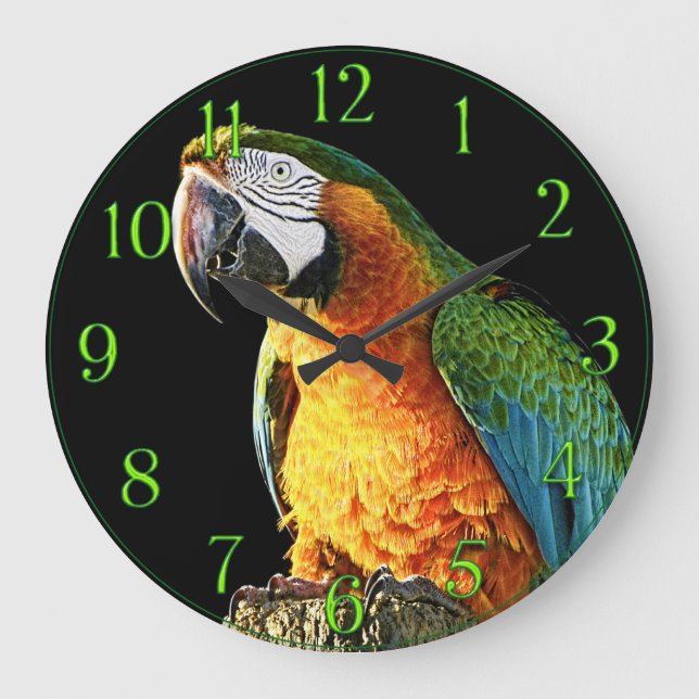 Large Orange and Teal Parrot on a Stump Large Clock (Front)