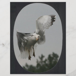 Large Oval Frame(black)