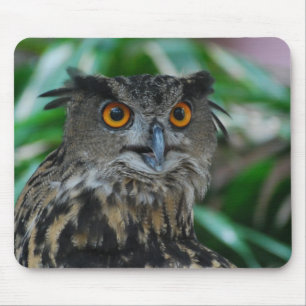 Large Owl Mouse Pad