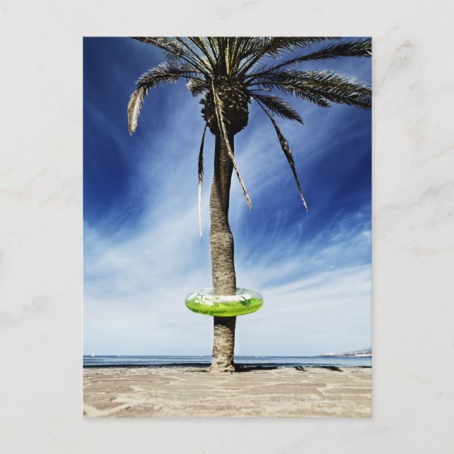 Large palm tree on a sandy beach with inflatable postcard (Front)
