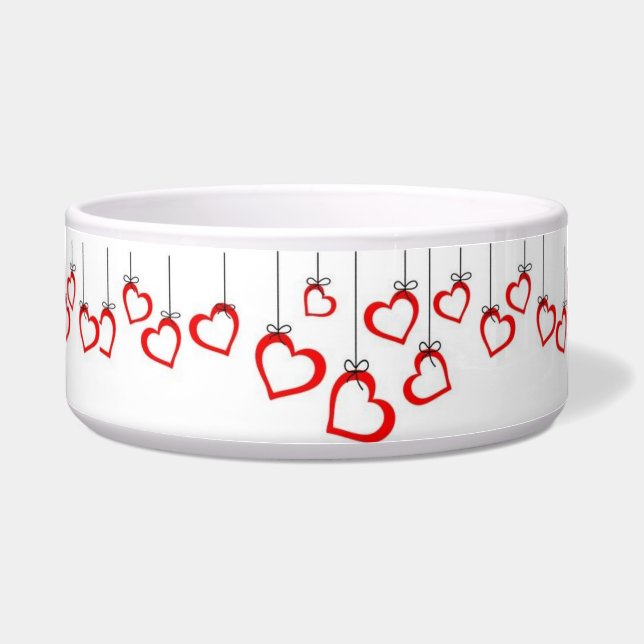 Large Pet Bowl (Front)