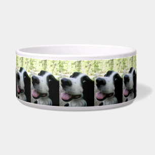 Large Pet Food Bowl with Border Collie