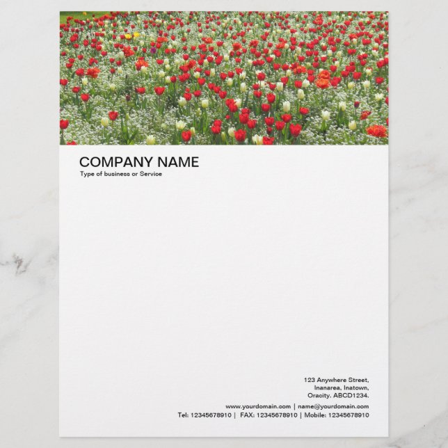 Large Picture Header - Bed of Tulips Customized Letterhead (Front)