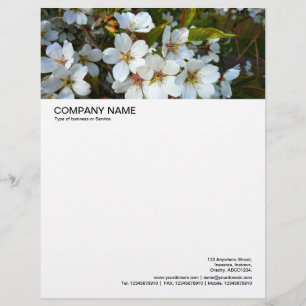 Large Picture Header - Cherry Blossom 02 Letterhead Template