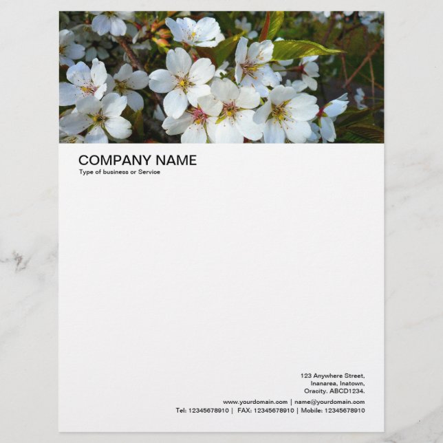 Large Picture Header - Cherry Blossom 02 Letterhead Template (Front)