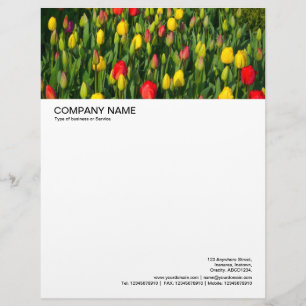 Large Picture Header - Colourful Tulips Letterhead