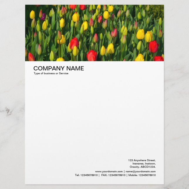 Large Picture Header - Colourful Tulips Letterhead (Front)