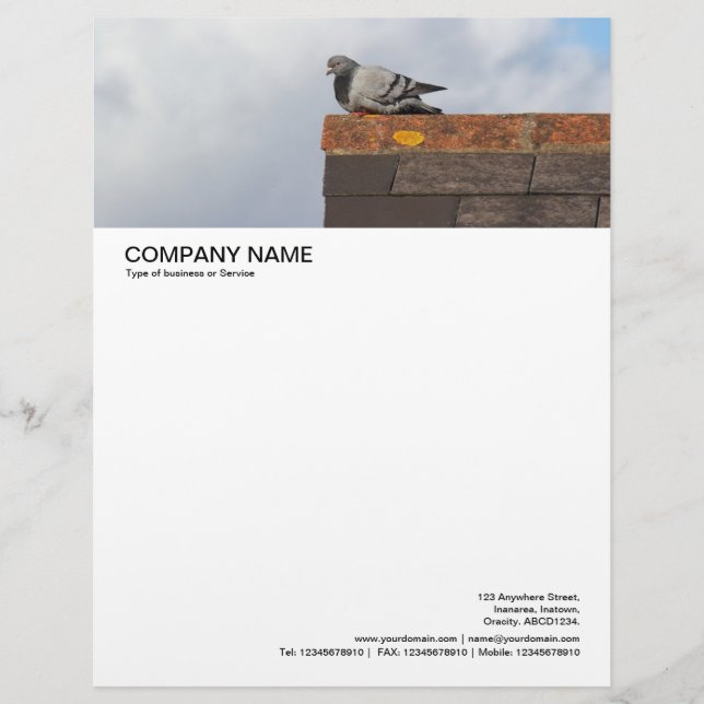 Large Picture Header - Good Morning Pigeon Custom Letterhead (Front)