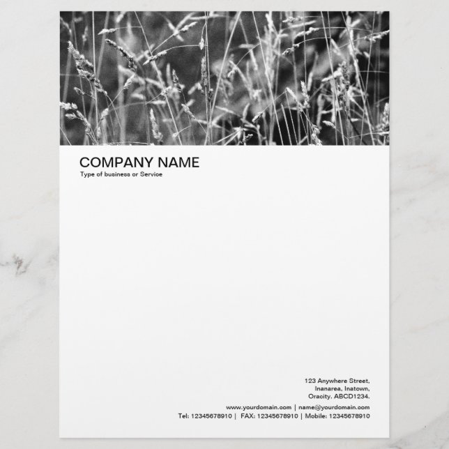 Large Picture Header - Grass Abstract 02 Customised Letterhead (Front)