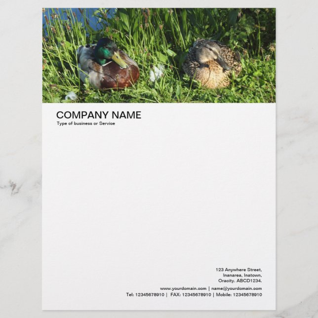 Large Picture Header - Mr and Mrs Mallard Letterhead Design (Front)