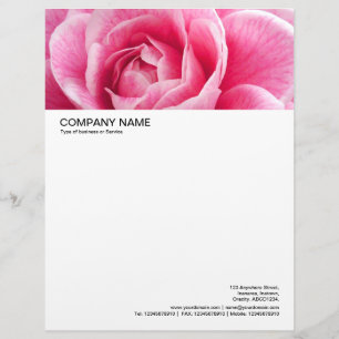Large Picture Header - Pink Camelia Letterhead Template