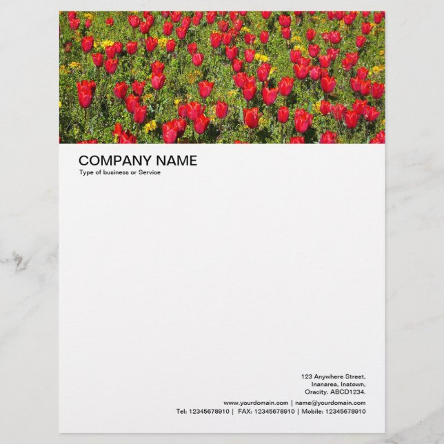 Large Picture Header - Red Tulips Customized Letterhead (Front)
