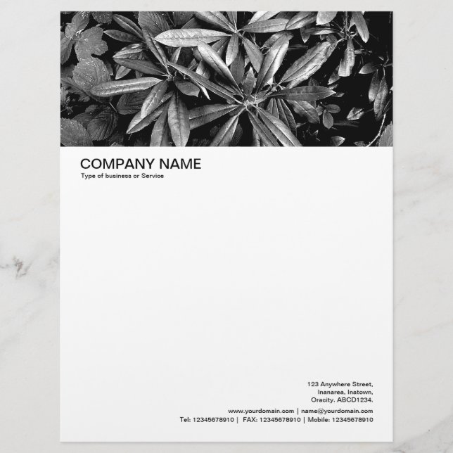 Large Picture Header - Rhododendron Leaves Letterhead Design (Front)