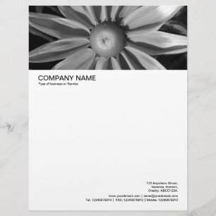 Large Picture Header - Rudbecia in Black and White Personalized Letterhead