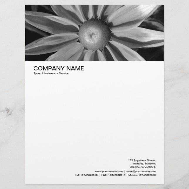 Large Picture Header - Rudbecia in Black and White Personalized Letterhead (Front)