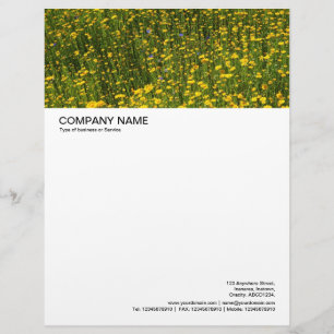 Large Picture Header - Sea of Flowers Customised Letterhead