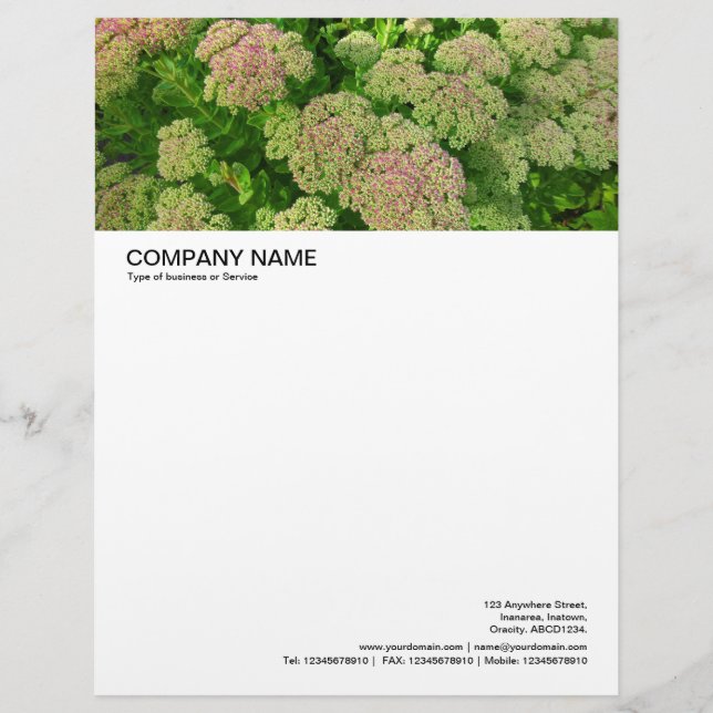 Large Picture Header - Sedum Autumn Joy Customised Letterhead (Front)