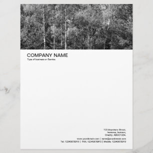 Large Picture Header - Silver Birch Letterhead Template