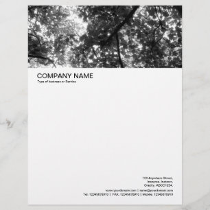 Large Picture Header - Woodland Canopy Personalised Letterhead