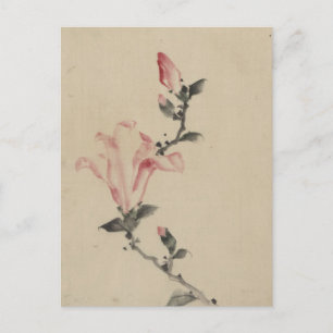 Large Pink Blossom on a Stem by Hokusai Postcard