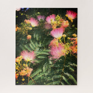 Large Pink Mimosa Blooms Jigsaw Puzzle