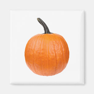 Large Pumpkin Magnet