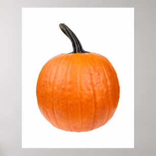 Large Pumpkin Poster