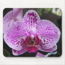 Large Purple Orchid Mouse Pad