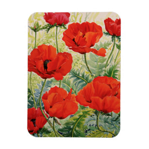Large Red Poppies Magnet