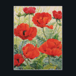 Large Red Poppies Postcard<br><div class="desc">Large Red Poppies (watercolour on paper)  Ryland  Christopher / Private Collection / Bridgeman Images</div>