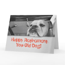 Large Retirement Greeting Card Australian Bulldog