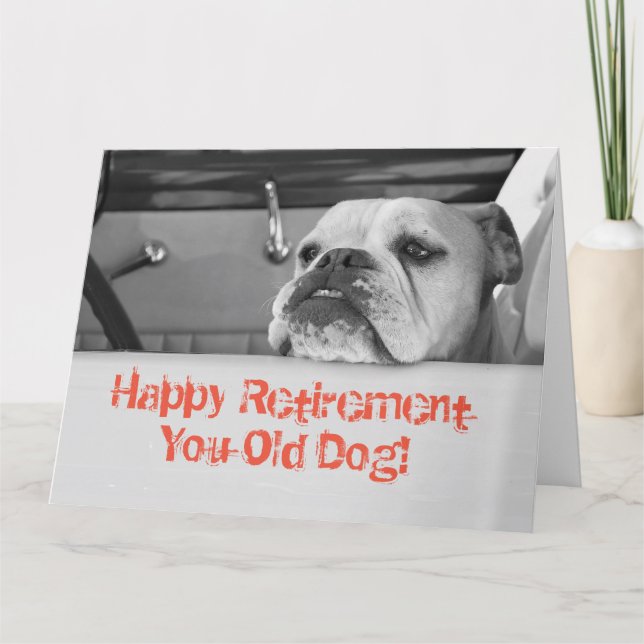 Large Retirement Greeting Card Australian Bulldog (Front)
