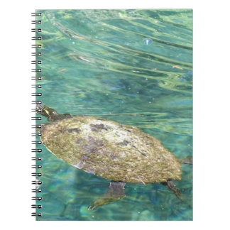 large river turtle swimming notebook
